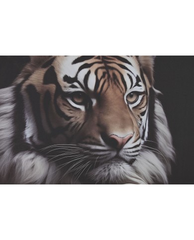 Quadro Home ESPRIT Stampato Moderno 80 x 3 x 120 cm (2 Unità)