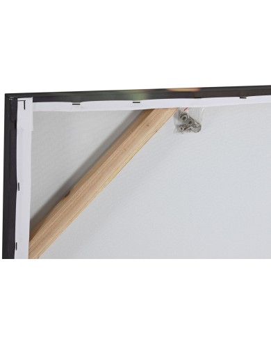 Quadro Home ESPRIT Stampato Moderno 120 x 3 x 80 cm (2 Unità)