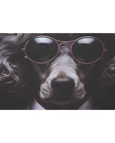 Quadro Home ESPRIT Stampato Moderno 80 x 3 x 120 cm (2 Unità)