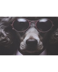 Quadro Home ESPRIT Stampato Moderno 80 x 3 x 120 cm (2 Unità)