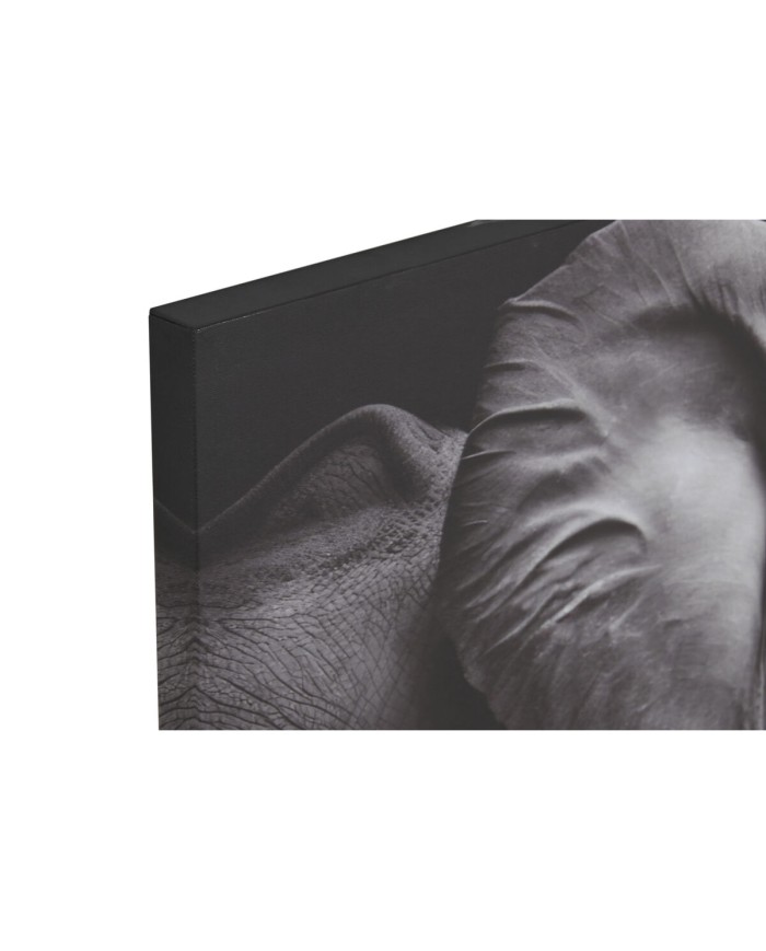 Quadro Home ESPRIT Stampato Moderno 120 x 3 x 80 cm (2 Unità)