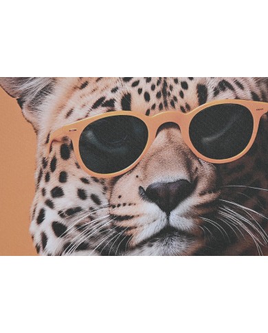 Quadro Home ESPRIT Giallo Azzurro Moderno animali 50 x 3 x 70 cm (3 Unità)