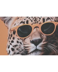 Quadro Home ESPRIT Giallo Azzurro Moderno animali 50 x 3 x 70 cm (3 Unità)