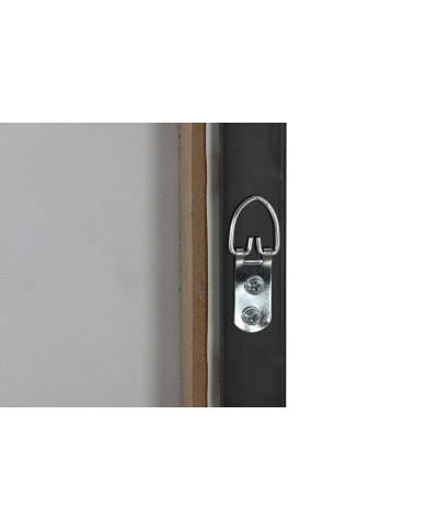 Quadro Home ESPRIT Azzurro Nero Dorato Pappagallo Tropicale 83 x 4 x 123 cm (2 Unità)