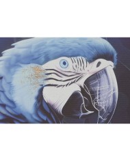 Quadro Home ESPRIT Azzurro Nero Dorato Pappagallo Tropicale 83 x 4 x 123 cm (2 Unità) Quadro Home ESPRIT Azzurro Nero Dorato Pappagallo Tropicale 83 x 4 x 123 cm (2 Unità)