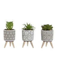 Pianta Decorativa Home ESPRIT Polietilene Cemento 6,5 x 6,5 x 11 cm (3 Unità) Pianta Decorativa Home ESPRIT Polietilene Cemento 6,5 x 6,5 x 11 cm (3 Unità)