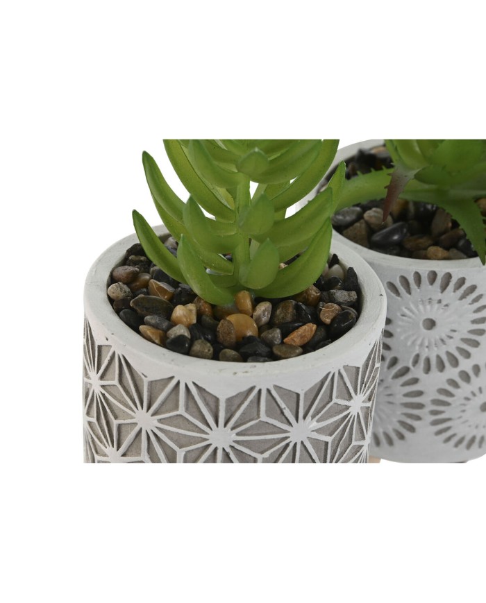 Pianta Decorativa Home ESPRIT Polietilene Cemento 6,5 x 6,5 x 11 cm (3 Unità) Pianta Decorativa Home ESPRIT Polietilene Cemento 6,5 x 6,5 x 11 cm (3 Unità)