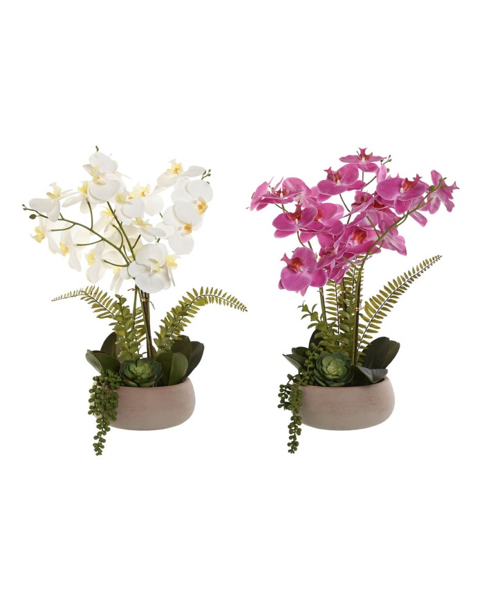 Pianta Decorativa Home ESPRIT Polietilene Cartapesta 40 X 35 X 52 cm (2 Unità) Pianta Decorativa Home ESPRIT Polietilene Cartapesta 40 X 35 X 52 cm (2 Unità)