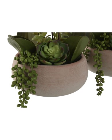 Pianta Decorativa Home ESPRIT Polietilene Cartapesta 40 X 35 X 52 cm (2 Unità) Pianta Decorativa Home ESPRIT Polietilene Cartapesta 40 X 35 X 52 cm (2 Unità)