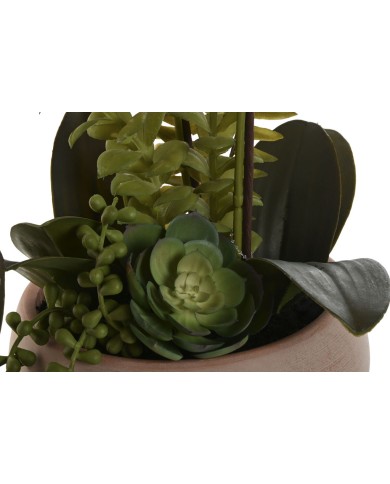 Pianta Decorativa Home ESPRIT Polietilene Cartapesta 40 X 35 X 52 cm (2 Unità)