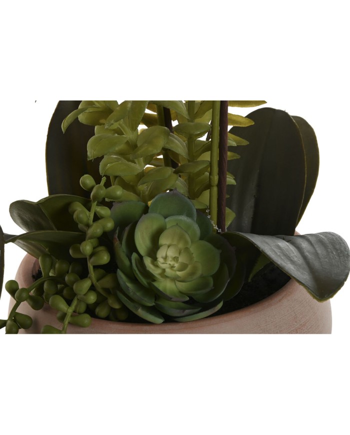 Pianta Decorativa Home ESPRIT Polietilene Cartapesta 40 X 35 X 52 cm (2 Unità) Pianta Decorativa Home ESPRIT Polietilene Cartapesta 40 X 35 X 52 cm (2 Unità)