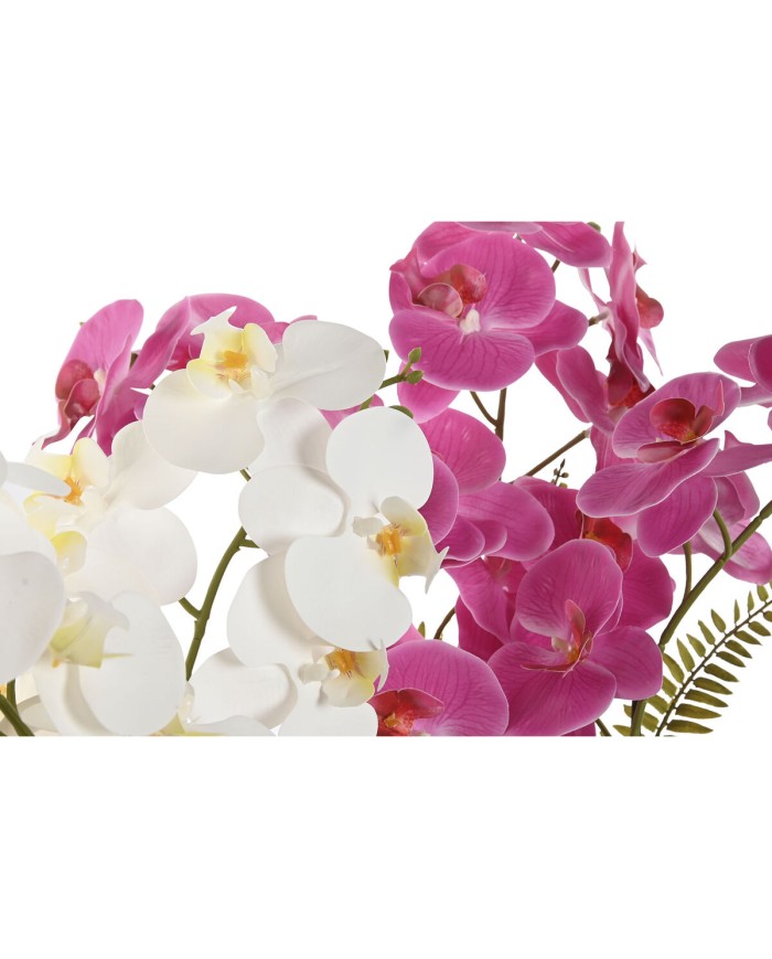 Pianta Decorativa Home ESPRIT Polietilene Cartapesta 40 X 35 X 52 cm (2 Unità) Pianta Decorativa Home ESPRIT Polietilene Cartapesta 40 X 35 X 52 cm (2 Unità)