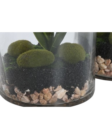 Pianta Decorativa Home ESPRIT PVC Cristallo 15 x 15 x 20 cm (2 Unità)