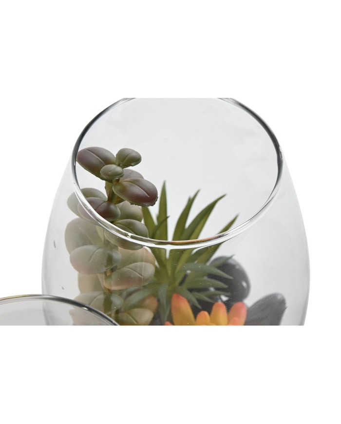 Pianta Decorativa Home ESPRIT PVC Cristallo 10 x 10 x 15 cm (2 Unità) Pianta Decorativa Home ESPRIT PVC Cristallo 10 x 10 x 15 cm (2 Unità)