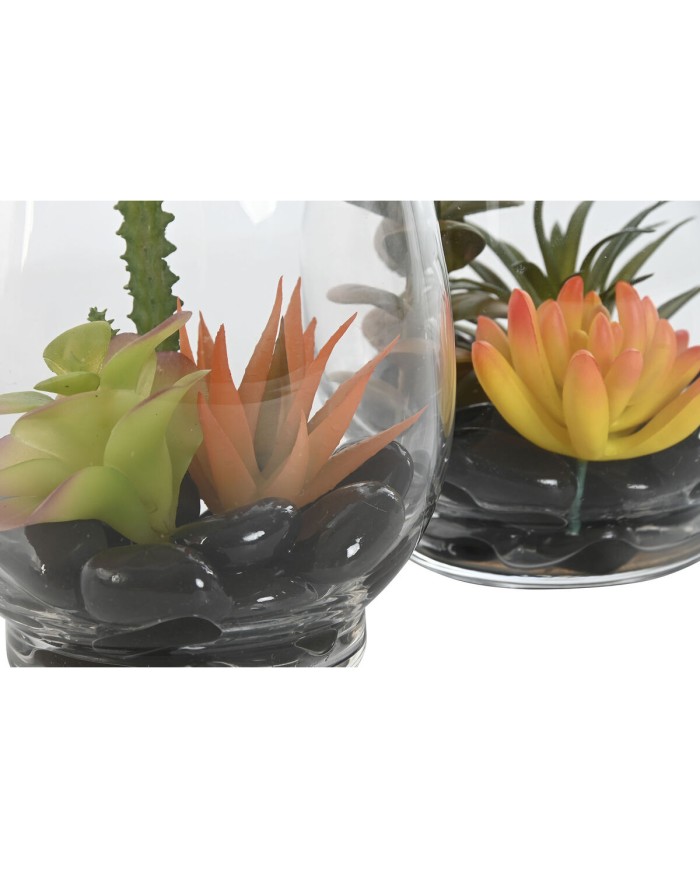 Pianta Decorativa Home ESPRIT PVC Cristallo 10 x 10 x 15 cm (2 Unità) Pianta Decorativa Home ESPRIT PVC Cristallo 10 x 10 x 15 cm (2 Unità)