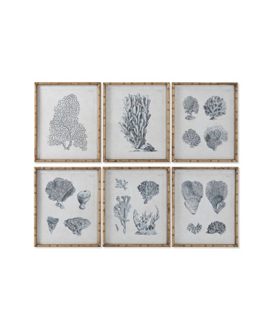 Quadro Home ESPRIT Grigio Mediterraneo 50 x 3 x 60 cm (6 Unità)