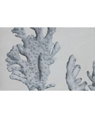 Quadro Home ESPRIT Grigio Mediterraneo 50 x 3 x 60 cm (6 Unità)