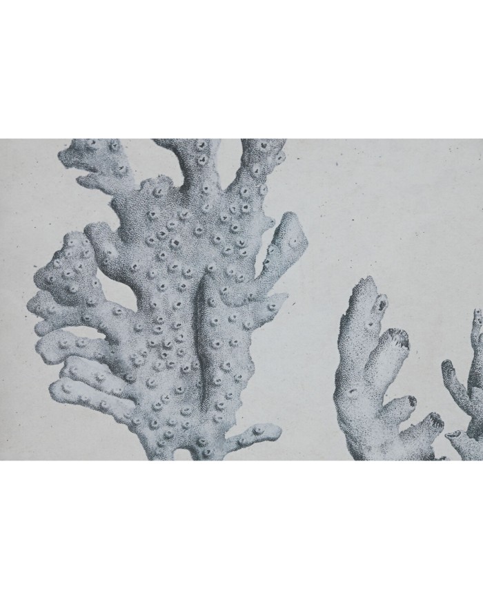 Quadro Home ESPRIT Grigio Mediterraneo 50 x 3 x 60 cm (6 Unità) Quadro Home ESPRIT Grigio Mediterraneo 50 x 3 x 60 cm (6 Unità)