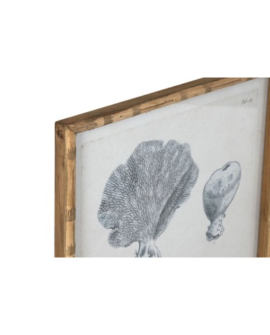 Quadro Home ESPRIT Grigio Mediterraneo 50 x 3 x 60 cm (6 Unità)