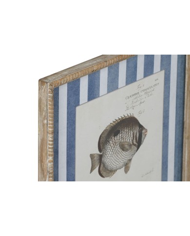 Quadro Home ESPRIT Azzurro Pesce 40 X 2,5 X 55 cm (4 Unità)