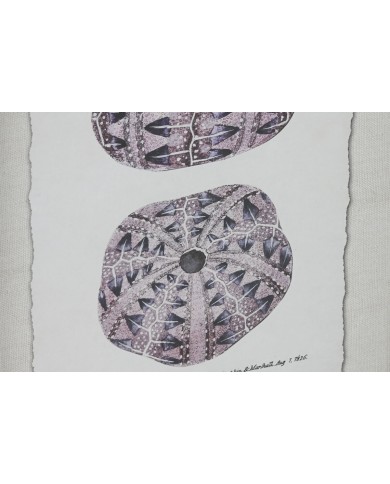 Quadro Home ESPRIT Corallo 35 x 2 x 45 cm (9 Unità)