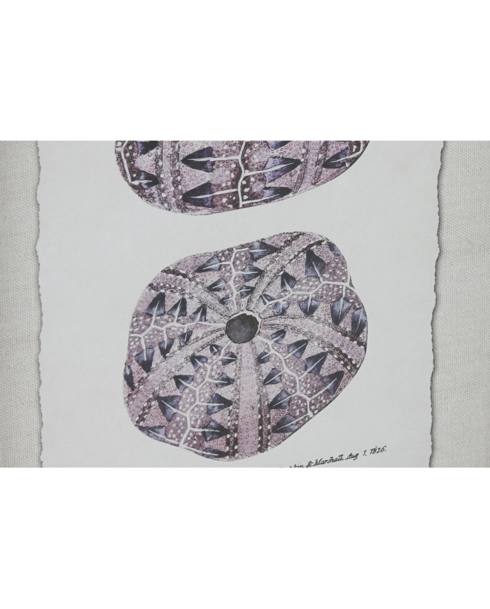 Quadro Home ESPRIT Corallo 35 x 2 x 45 cm (9 Unità)