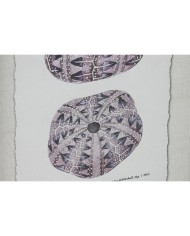 Quadro Home ESPRIT Corallo 35 x 2 x 45 cm (9 Unità)