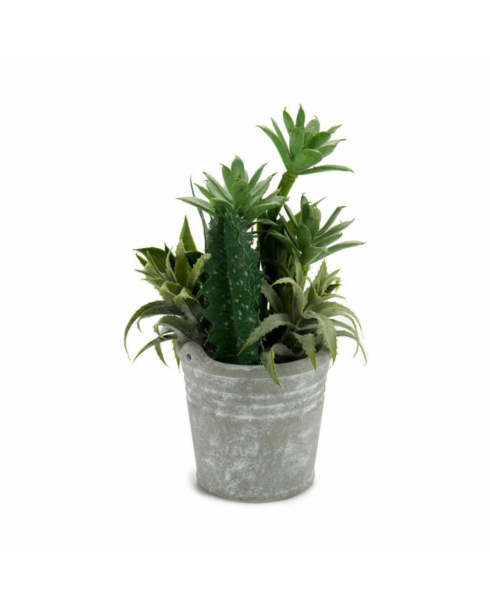 Pianta Decorativa Ibergarden XD18-1182A-B Plastica Cemento 15 x 24 x 15 cm (12 Unità) Pianta Decorativa Ibergarden XD18-1182A-B Plastica Cemento 15 x 24 x 15 cm (12 Unità)