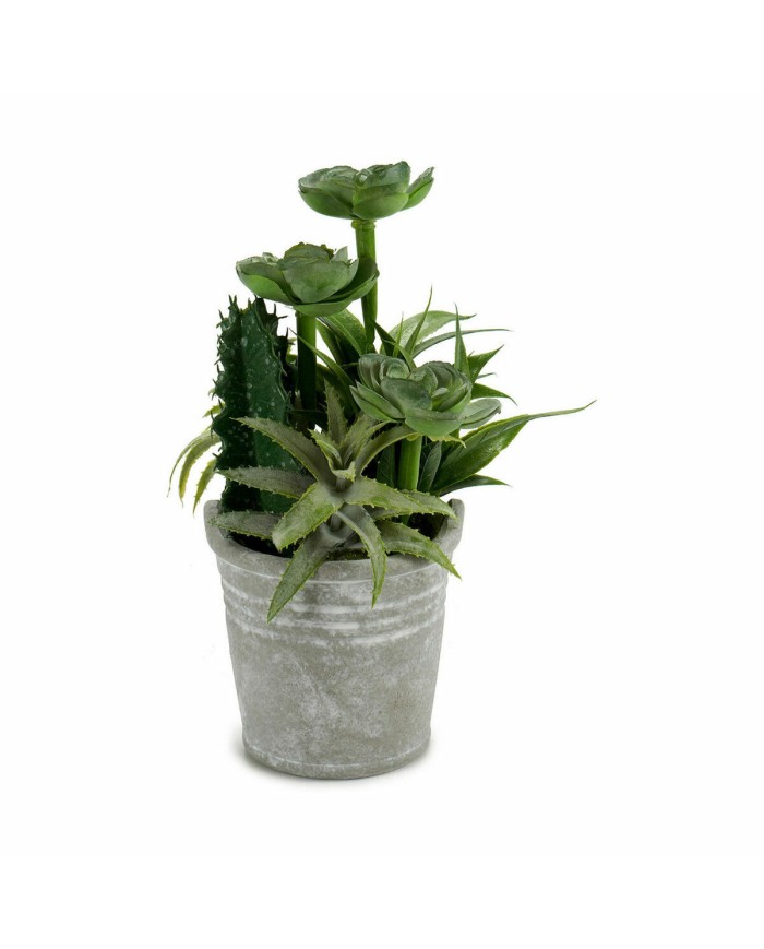 Pianta Decorativa Ibergarden XD18-1182A-B Plastica Cemento 15 x 24 x 15 cm (12 Unità) Pianta Decorativa Ibergarden XD18-1182A-B Plastica Cemento 15 x 24 x 15 cm (12 Unità)