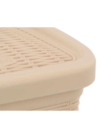 Cestino Stefanplast 30134 Beige Plastica 6 L (6 Unità)