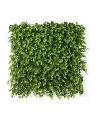 Giardino Verticale Ibergarden Verde Plastica Fogli 50 x 50 cm Giardino Verticale Ibergarden Verde Plastica Fogli 50 x 50 cm