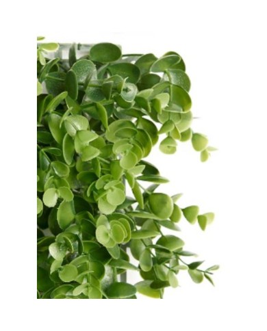 Giardino Verticale Ibergarden Verde Plastica Fogli 50 x 50 cm