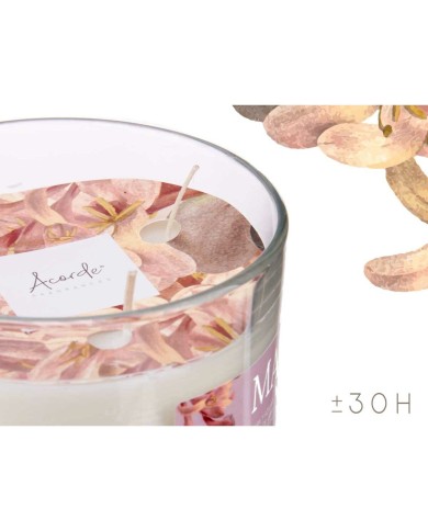 Candela Profumata Acorde Maylu 400 g (6 Unità)