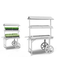 Espositore da Bancone Alexandra House Living Legno di abete 38 x 127 x 98 cm Scaffale 3 Mensole