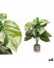 Pianta Decorativa Ibergarden XD18-1182A-B Plastica Cemento 15 x 24 x 15 cm (12 Unità) Pianta Decorativa Ibergarden XD18-1182A-B Plastica Cemento 15 x 24 x 15 cm (12 Unità)