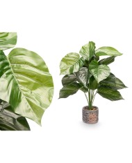 Pianta Decorativa Ibergarden 12 Plastica Magnesio 42 x 42 x 78 cm (4 Unità) Pianta Decorativa Ibergarden 12 Plastica Magnesio 42 x 42 x 78 cm (4 Unità)