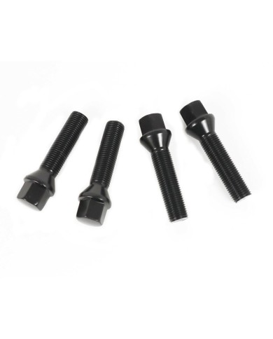 Dadi per ruote OMP OMPS09881401 M14 x 1,25 4 Unità Dadi per ruote OMP OMPS09881401 M14 x 1,25 4 Unità