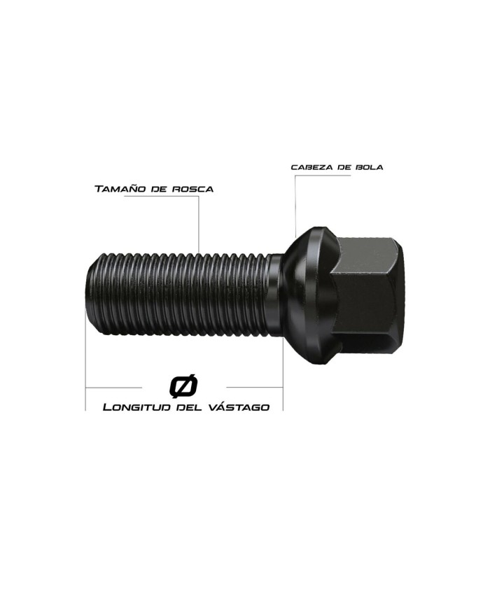 Dadi per ruote OMP OMPS09881401 M14 x 1,25 4 Unità
