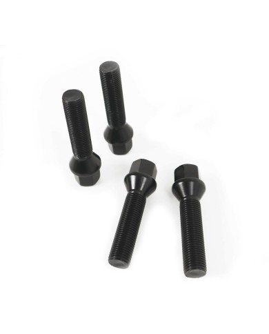 Dadi per ruote OMP OMPS09881401 M14 x 1,25 4 Unità