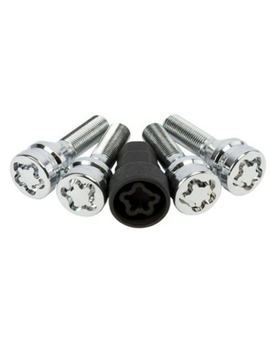 Viti Antifurto ABC Parts L48 17/19 12 x 125 mm 4 Unità