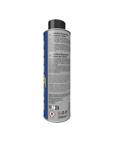 Riparatore della Guarnizione della testata Goodyear Sigillante 250 ml Riparatore della Guarnizione della testata Goodyear Sigillante 250 ml
