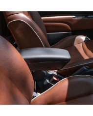 Braccioli Armster FIAT 500 2016 Ecopelle