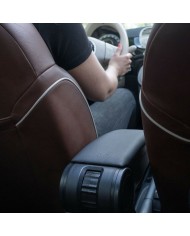 Braccioli Armster FIAT 500 2016 Ecopelle