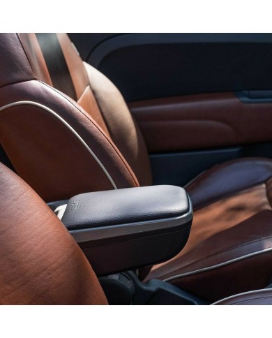 Braccioli Armster RENAULT ZOE 2020 Ecopelle