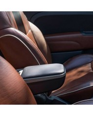 Braccioli Armster SKODA FABIA 2022 Ecopelle