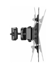 Supporto TV Neomounts FL40-430BL12 42" 25 kg