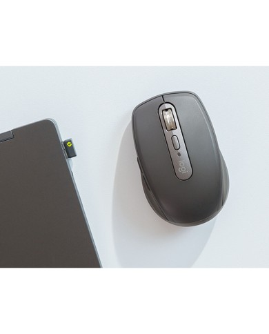 Mouse Logitech 910-006959 8000 dpi Grigio