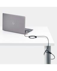 Cavo USB Startech UNIVC4D-LAPTOP-LOCK Nero/Grigio 2 m Cavo USB Startech UNIVC4D-LAPTOP-LOCK Nero/Grigio 2 m