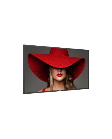 Monitor Videowall Philips 43BDL4650D/00 4K Ultra HD 43" Monitor Videowall Philips 43BDL4650D/00 4K Ultra HD 43"