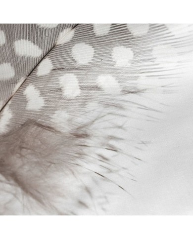 Federa HappyFriday Light Multicolore 60 x 60 cm Federa HappyFriday Light Multicolore 60 x 60 cm